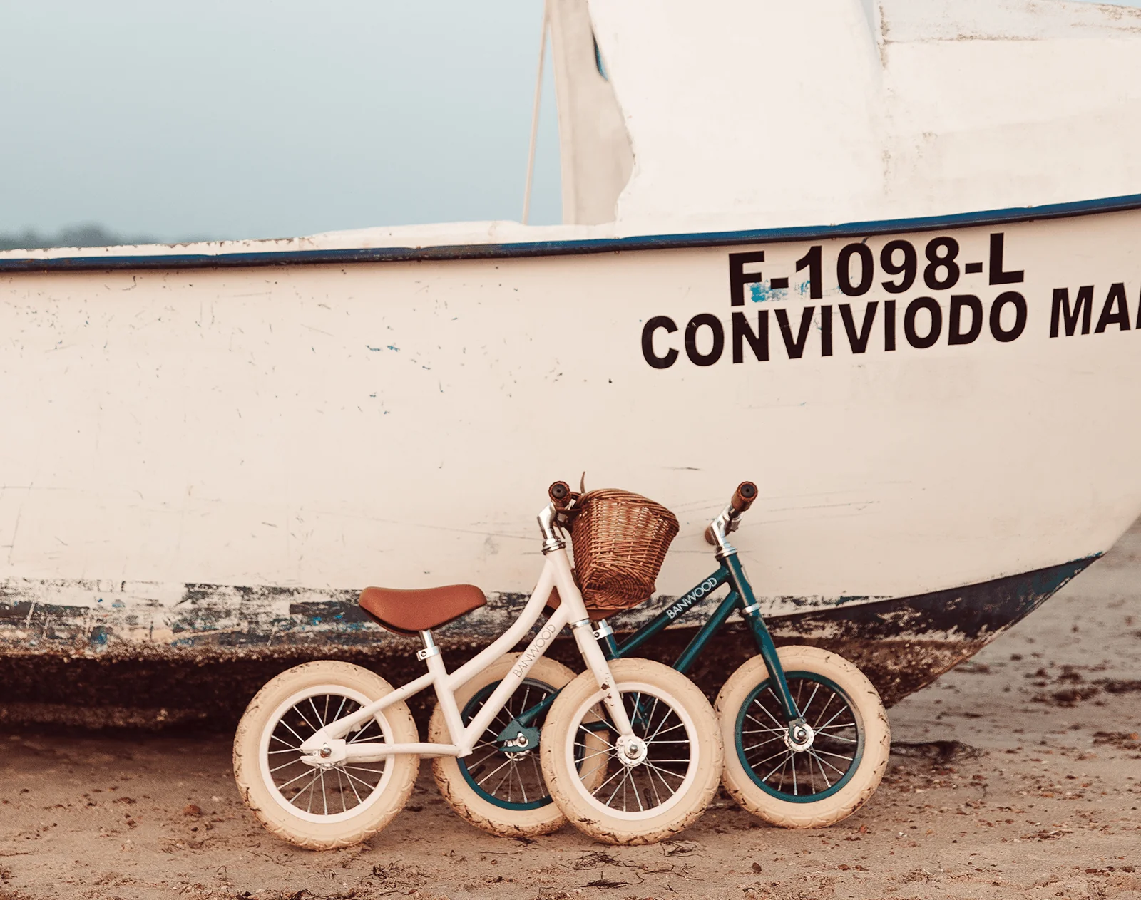 Balance Bike - Image 29