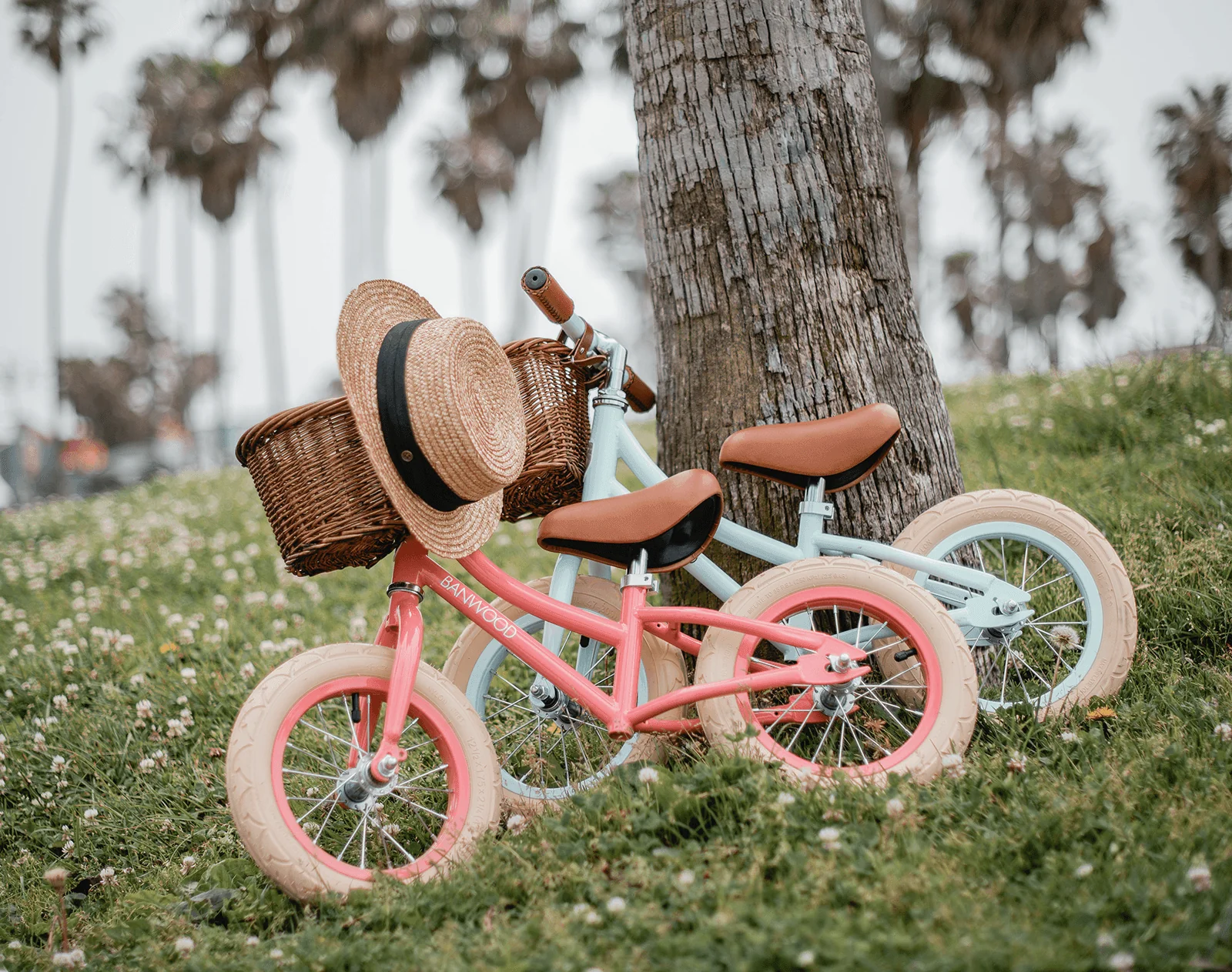 Balance Bike - Image 5
