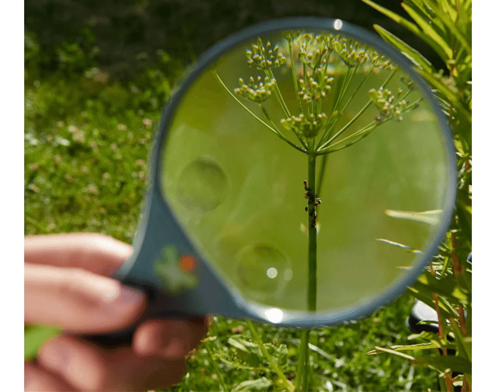 Magnifier - Image 3