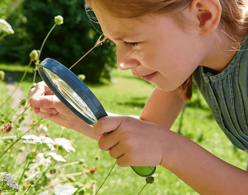Magnifier - Image 4