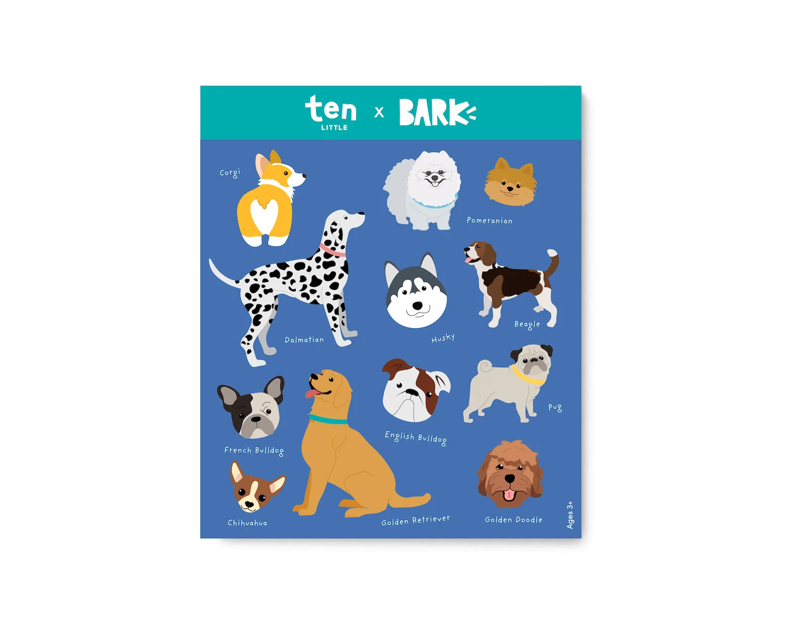 Specialty Stickers - Image 9