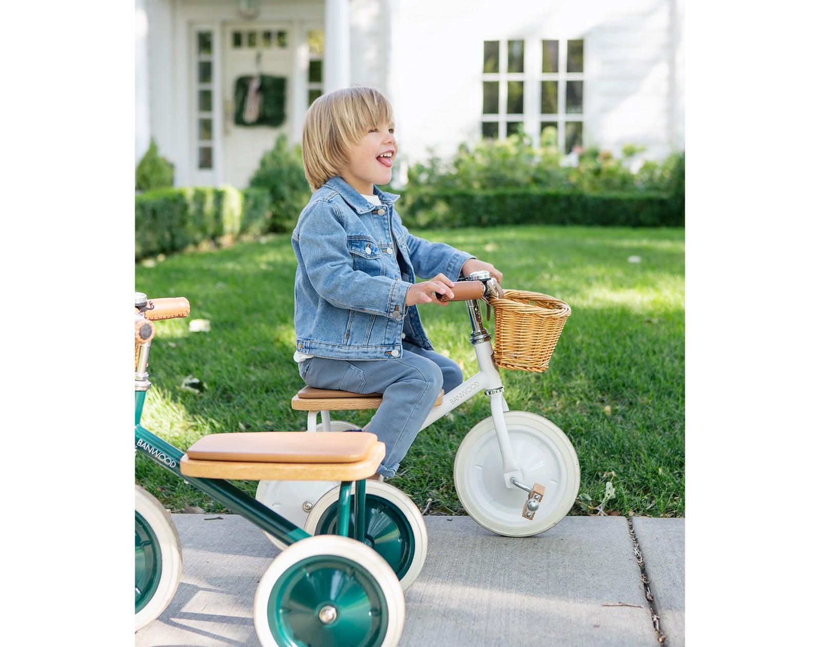 Trike - Image 5